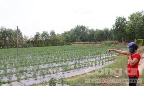 Tội ác kinh hoàng trong ngôi mộ giữa phòng ngủ - ảnh 1