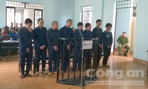Cướp chó làm thịt nhậu, 8 thanh niên lãnh án tù - ảnh 1