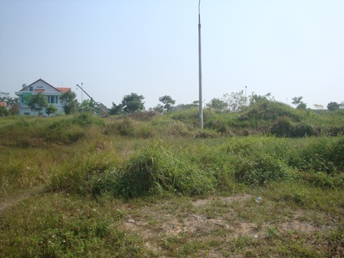 Đất liền kề, biệt thự giá bèo ở