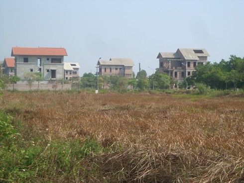 Đất liền kề, biệt thự giá bèo ở
