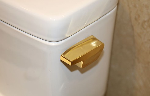 Choáng ngợp căn hộ phủ vàng ròng bạc tỷ ở Hà Nội - ảnh 4