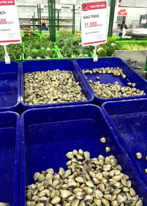 Siêu thị bán rẻ hơn chợ vỉa hè của đại gia Hà Nội - ảnh 11