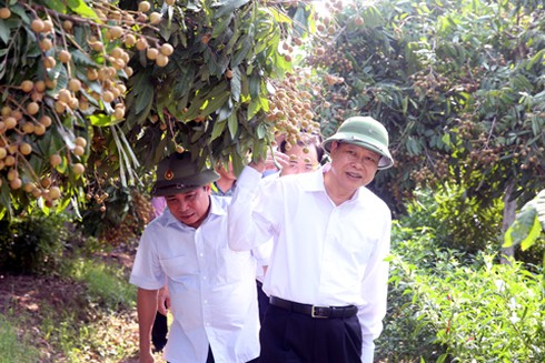 Phó Thủ tướng Vũ Văn Ninh thị sát việc xây dựng nông thôn mới tại Hưng Yên - ảnh 1
