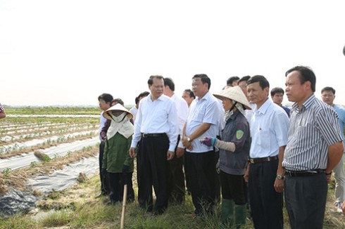 Phó Thủ tướng Vũ Văn Ninh thị sát việc xây dựng nông thôn mới tại Hải Dương - ảnh 1