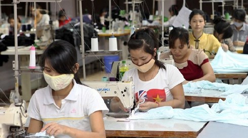 Triển khai chính sách hưởng BHXH 1 lần với người lao động - ảnh 1