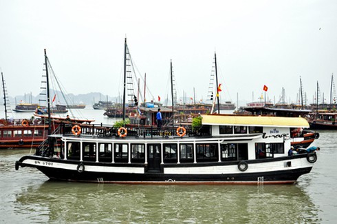 Hàng loạt chính sách khuyến khích phát triển GTVT đường thủy nội địa - ảnh 1