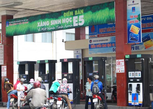 Báo cáo Thủ tướng việc sản xuất, kinh doanh xăng E5 trước ngày 31/10 - ảnh 1