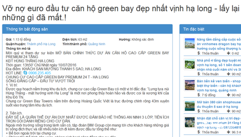 Vỡ nợ Euro bán gấp nhà đất: Chiêu trò bán nhà đất ế? - ảnh 2