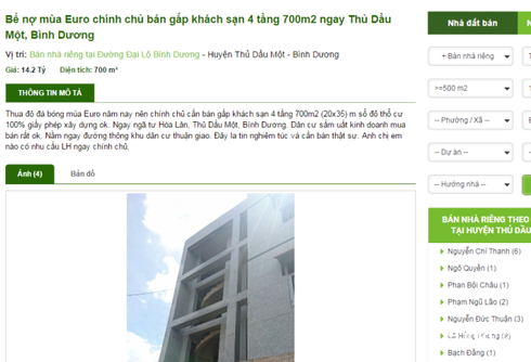 Vỡ nợ Euro bán gấp nhà đất: Chiêu trò bán nhà đất ế? - ảnh 1