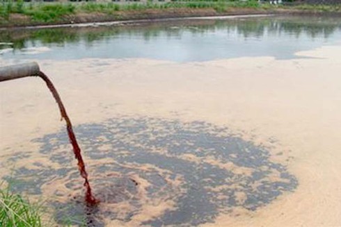 Quản lý môi trường trên nguyên tắc “người gây ô nhiễm phải trả tiền” - ảnh 1