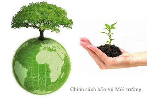 TPP là cơ hội cho Việt Nam bảo vệ môi trường - ảnh 1