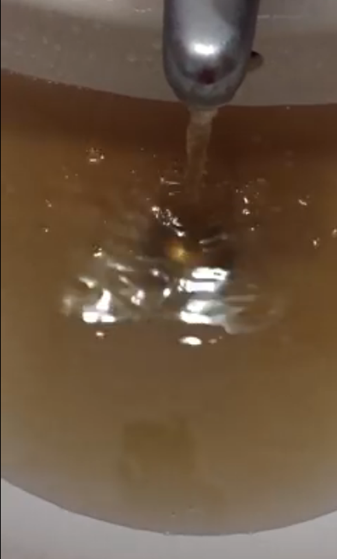Hà Nội: Hãi hùng nước sạch có giun, bọ bơi tung tăng - ảnh 2
