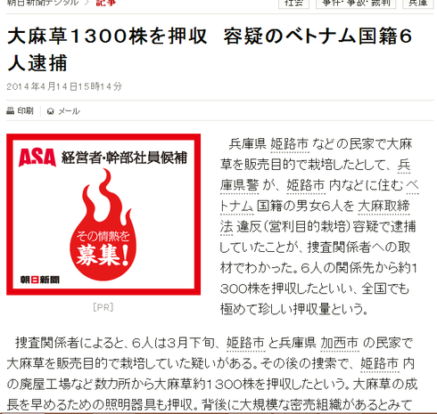 Báo Nhật: 6 người Việt Nam bị bắt vì trồng cần sa - ảnh 1