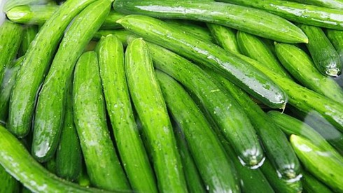 5 thực phẩm dễ kiếm trị chứng chướng bụng, đầy hơi - ảnh 1
