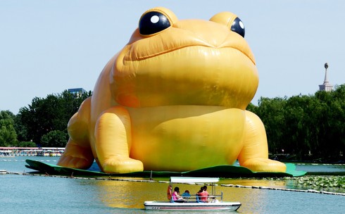 Sợ phạm húy, Trung Quốc cấm đưa tin về “con cóc vàng khổng lồ” - ảnh 1