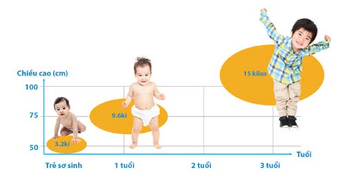 Ăn gì tốt nhất trong 1000