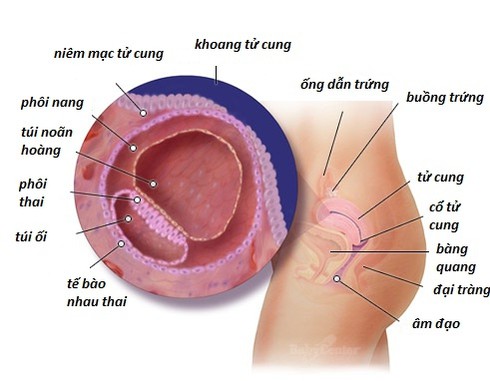 Người phụ nữ lấy 2 đời chồng và nỗi lo không thể có con - ảnh 1