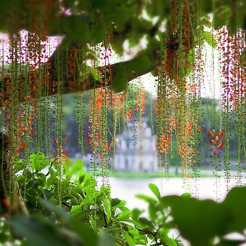 Chủ tịch Nguyễn Đức Chung: Sẽ quảng bá hình ảnh Hà Nội qua kênh CNN - ảnh 1