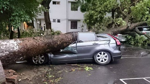Những cái chết “trời ơi”: Vì từ cái cây cho đến dây điện đều làm chưa tốt? - ảnh 1