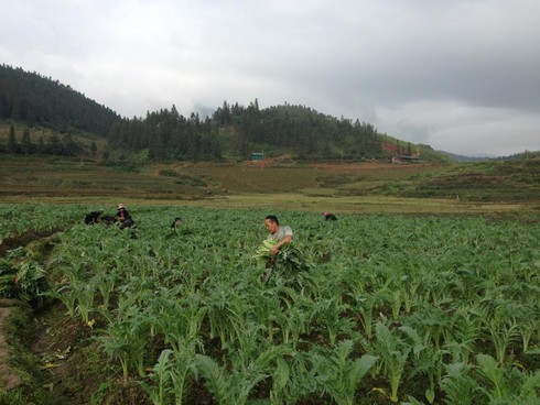 Lào Cai hơn 18.000 hộ nghèo chiếm 12,11% - ảnh 1