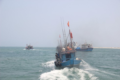 Yêu cầu Bộ Y tế cập nhật kết quả giám sát hải sản tầng đáy 4 tỉnh miền Trung - ảnh 1