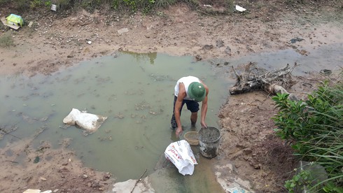 Hàng chục ha tôm nuôi chết vì dịch bệnh - ảnh 1