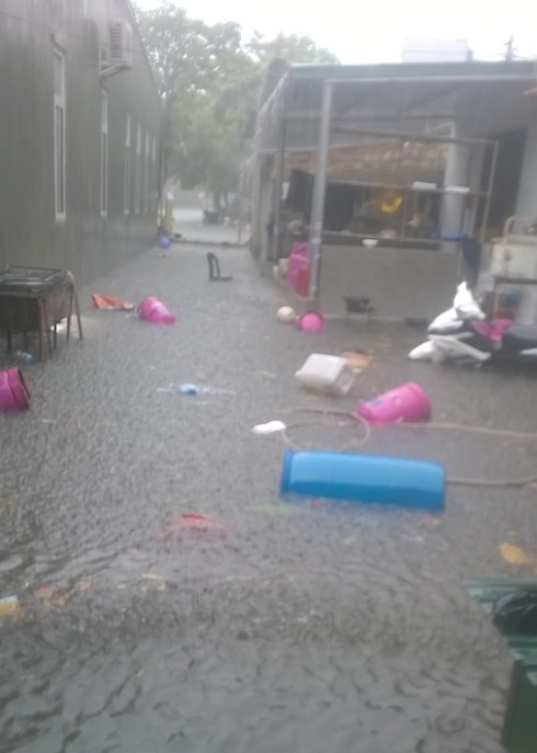 Giông lốc, Cô Tô xuất hiện vòi rồng khổng lồ - ảnh 2