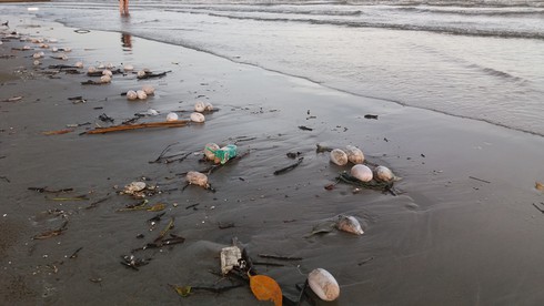 Họp khẩn truy xét nguồn gốc vật thể lạ tấn công biển Trà Cổ - ảnh 1