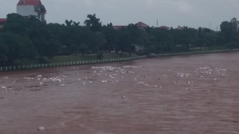 Chìm đò chở hàng, một lái đò thoát chết - ảnh 3