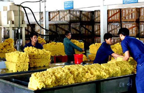 Nông sản xuất sang Trung Quốc tiếp tục gặp khó khăn - ảnh 1
