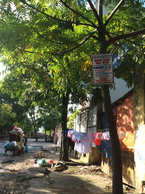 Bi kịch thời ngân hàng “nương tựa”… gốc cây, bờ tường - ảnh 7