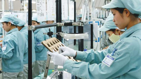 2.000 tỷ đồng cho doanh nghiệp xuất khẩu vay lãi suất thấp - ảnh 1