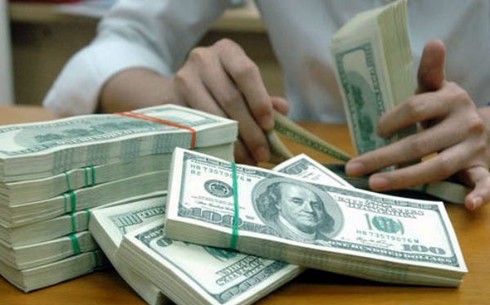 Tới cuối năm, tỷ giá có thể lên tới 21.750 đồng/USD - ảnh 1