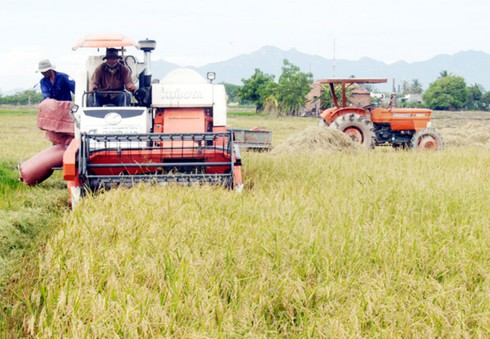Ngân hàng Nhà nước “thúc” cho vay xây dựng nông thôn mới - ảnh 1