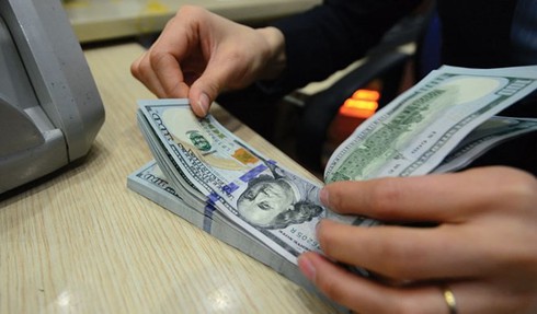 NHNN trần tình chuyện cấm cho vay ngoại tệ - ảnh 1