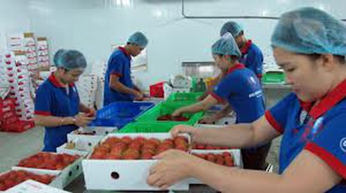 Vốn doanh nghiệp thành lập mới giảm hơn 40% - ảnh 1