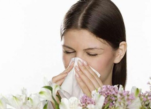 Độc lực virus cúm A H7N9 có thể cao hơn H5N1 - ảnh 2