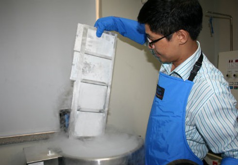 Quy trình bảo quản tế bào gốc nghiêm ngặt như thế nào? - ảnh 14