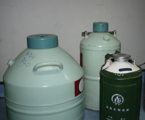 Quy trình bảo quản tế bào gốc nghiêm ngặt như thế nào? - ảnh 16