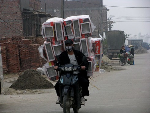 Làng mã hối hả vào vụ Tết - ảnh 12