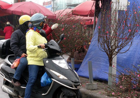 Nhộn nhịp chợ đào, quất cho người chơi tết sớm - ảnh 6