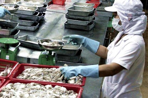 Nông, lâm, thủy sản: Tất cả đều vi phạm an toàn thực phẩm - ảnh 1