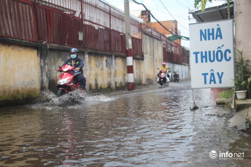 TP.HCM: Dự báo triều cường cao tới 1,6m vào đợt 26-28/10 - ảnh 9