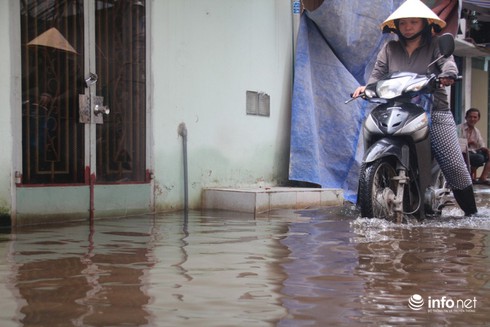 TP.HCM: Dự báo triều cường cao tới 1,6m vào đợt 26-28/10 - ảnh 3