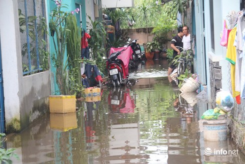 TP.HCM: Dự báo triều cường cao tới 1,6m vào đợt 26-28/10 - ảnh 5