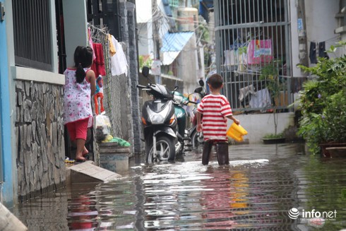 TP.HCM: Dự báo triều cường cao tới 1,6m vào đợt 26-28/10 - ảnh 1