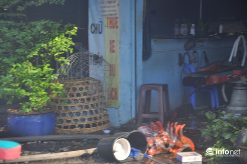 TP.HCM: Cháy lớn ở Bến Bình Đông, 1 người mất tích trong biển lửa - ảnh 15