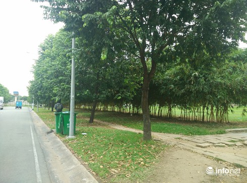 Truy tìm kẻ lạ mặt dùng kim tiêm đâm vào ngực nữ công nhân trên đường vắng - ảnh 1