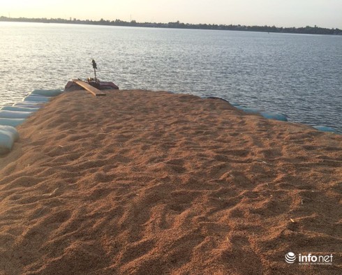 Bắt giữ 3 ghe chở 300 tấn lúa nhập lậu vào Việt Nam - ảnh 1