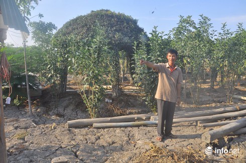 Công an TP.HCM vào cuộc vụ người nông dân dựng chòi nuôi vịt bị khởi tố - ảnh 1